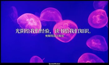 光阴给我们经验，读书给我们知识。 — 奥斯特洛夫斯基