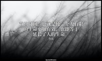 节约时间，也就是使一个人有限的生命更加有效，也即等于延长了人的生命。 — 鲁迅