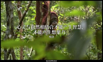 心灵与自然相结合才能产生智慧，才能产生想象力。 — 梭洛