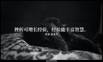 挫折可增长经验，经验能丰富智慧。 — 亚瑟·叔本华