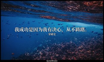 我成功是因为我有决心，从不踌躇。 — 拿破仑