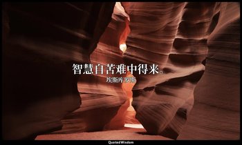 智慧自苦难中得来。 — 埃斯库罗斯