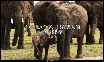 不可能这个字，只在愚人的字典中找得到。 — 拿破仑
