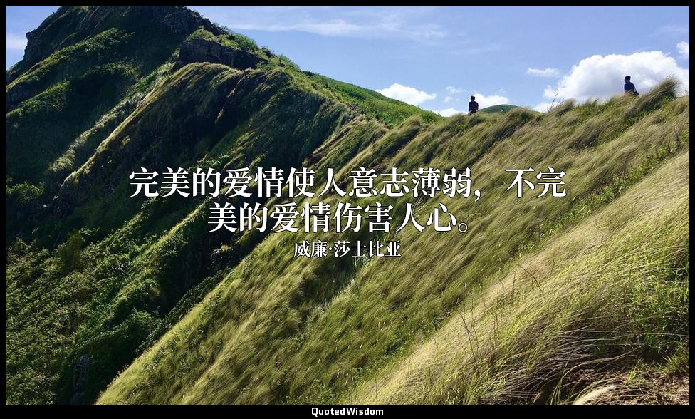完美的爱情使人意志薄弱，不完美的爱情伤害人心。 — 威廉·莎士比亚