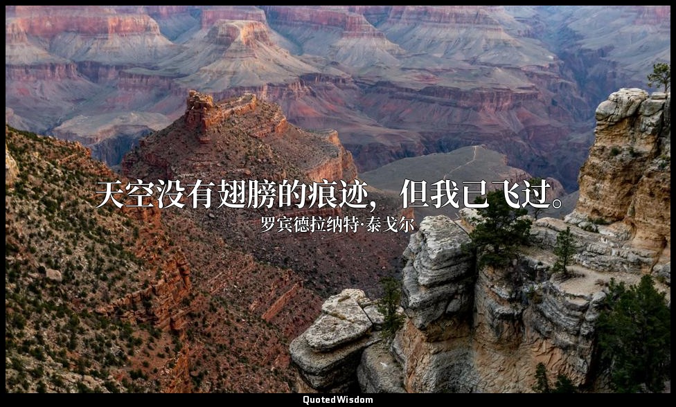 天空没有翅膀的痕迹，但我已飞过。 — 罗宾德拉纳特·泰戈尔