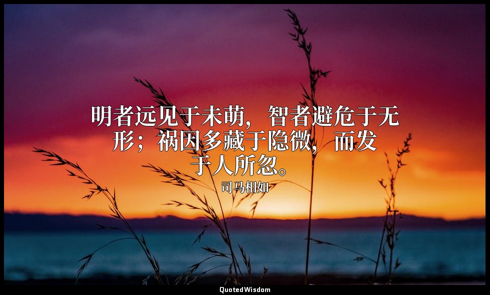 明者远见于未萌，智者避危于无形；祸因多藏于隐微，而发于人所忽。 — 司马相如