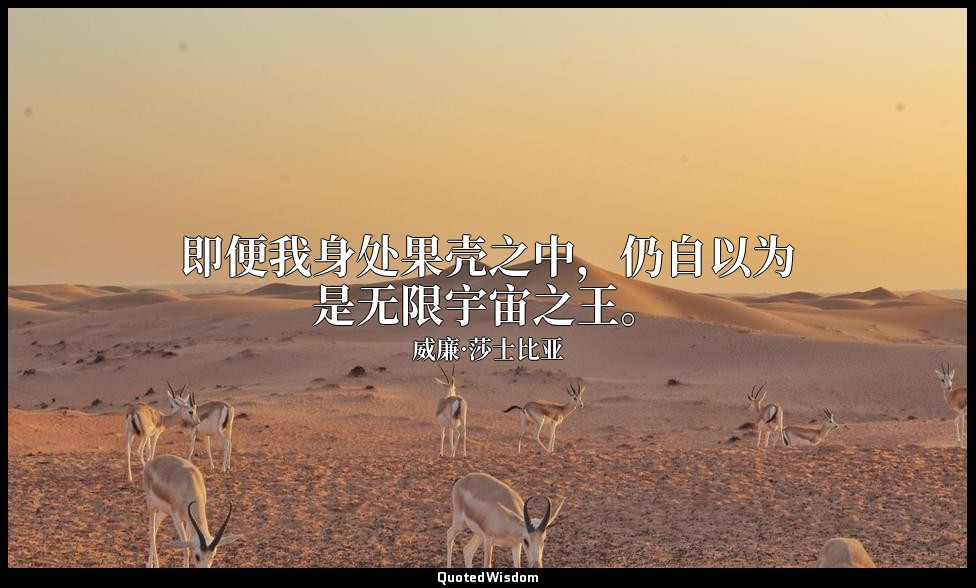 即便我身处果壳之中，仍自以为是无限宇宙之王。 — 威廉·莎士比亚