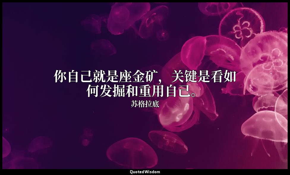 你自己就是座金矿，关键是看如何发掘和重用自己。 — 苏格拉底