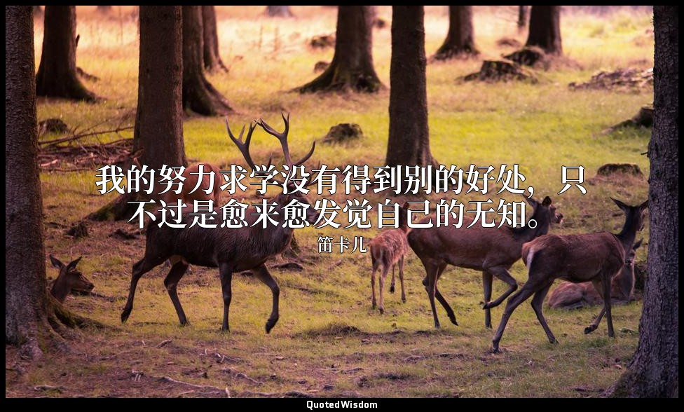 我的努力求学没有得到别的好处，只不过是愈来愈发觉自己的无知。 — 笛卡儿