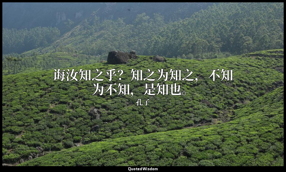 诲汝知之乎？知之为知之，不知为不知，是知也。 — 孔子