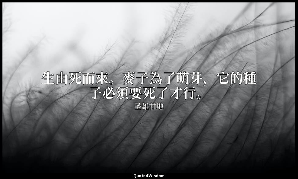 生由死而來。麥子為了萌芽，它的種子必須要死了才行。 — 圣雄甘地