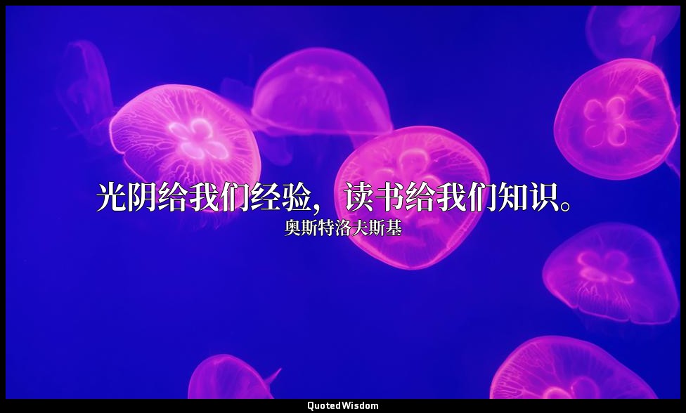 光阴给我们经验，读书给我们知识。 — 奥斯特洛夫斯基