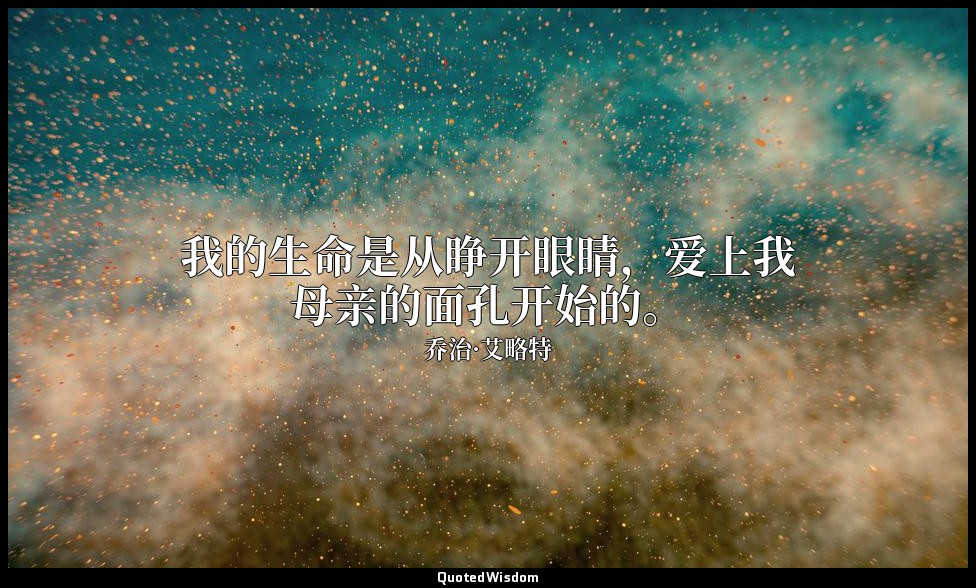 我的生命是从睁开眼睛，爱上我母亲的面孔开始的。 — 乔治·艾略特