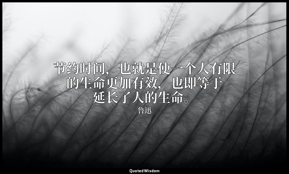 节约时间，也就是使一个人有限的生命更加有效，也即等于延长了人的生命。 — 鲁迅