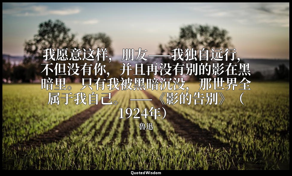 我愿意这样，朋友——我独自远行，不但没有你，并且再没有别的影在黑暗里。只有我被黑暗沉没，那世界全属于我自己。 ——《影的告别》（1924年） — 魯迅