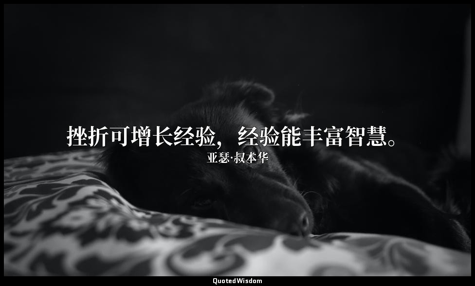 挫折可增长经验，经验能丰富智慧。 — 亚瑟·叔本华