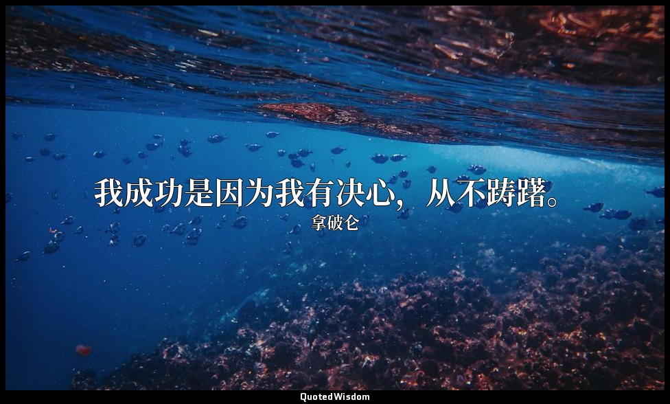 我成功是因为我有决心，从不踌躇。 — 拿破仑