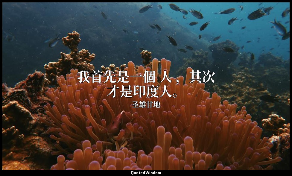 我首先是一個 人 ，其次才是印度人。 — 圣雄甘地