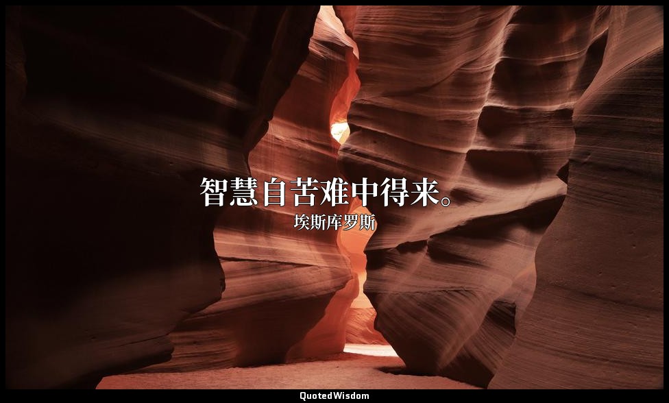 智慧自苦难中得来。 — 埃斯库罗斯