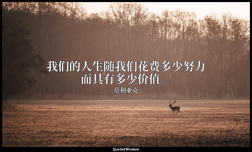 我们的人生随我们花费多少努力而具有多少价值。 — 莫利亚克